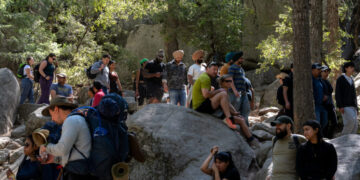 Yosemite Offers Many Wonders. Crushing Crowds Are Now One of Them.