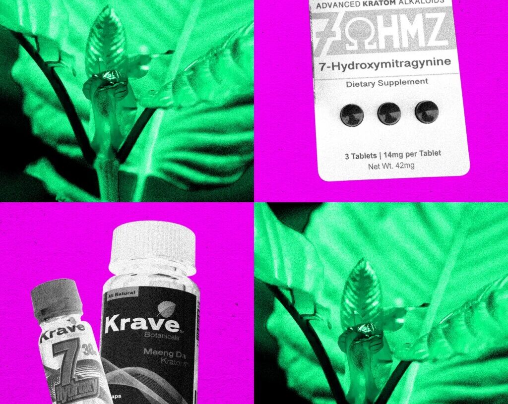 The DEA Plans to Ban Opioid-Like Kratom Compound 7-OH