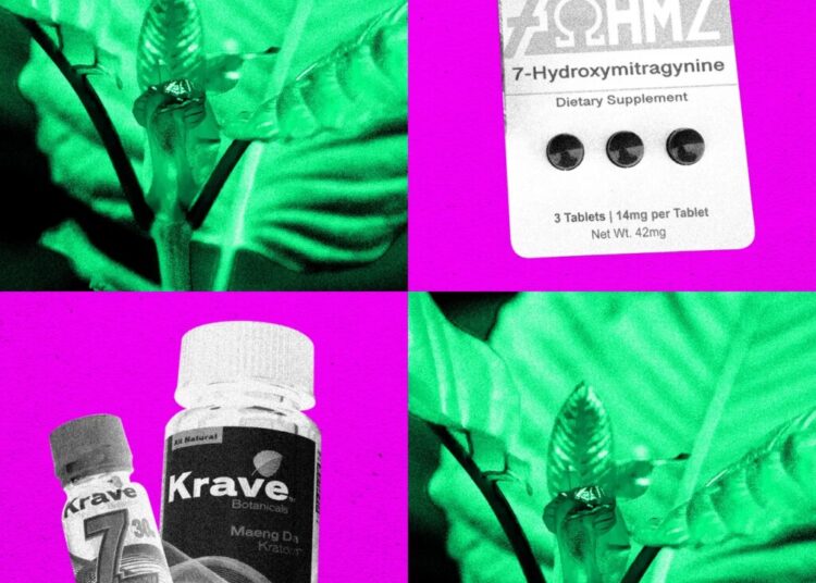 The DEA Plans to Ban Opioid-Like Kratom Compound 7-OH