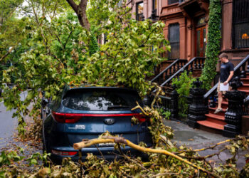 Here’s How Much Rain Fell Across the New York Area This Week