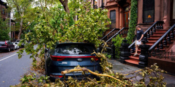Here’s How Much Rain Fell Across the New York Area This Week