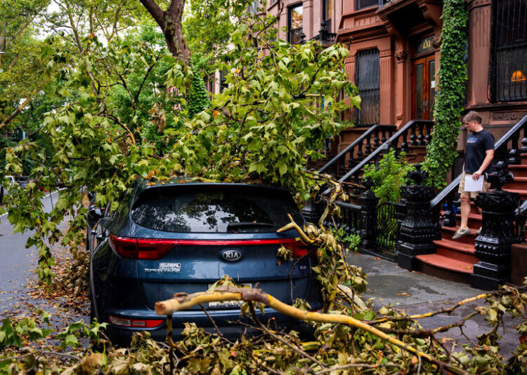 Here’s How Much Rain Fell Across the New York Area This Week