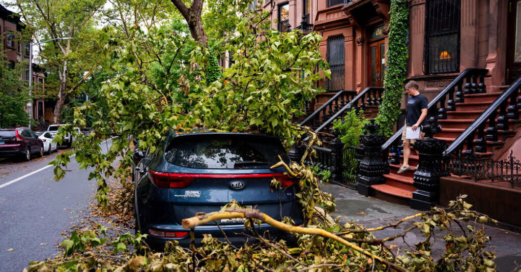 Here’s How Much Rain Fell Across the New York Area This Week