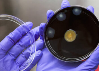 New York City Adopts Measures to Slow Legionnaires’ Disease Outbreak