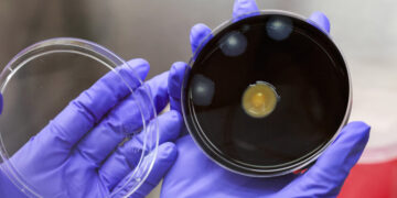 New York City Adopts Measures to Slow Legionnaires’ Disease Outbreak