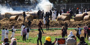 Dozens Face Felony Charges After Raid of Beagle Research Facility