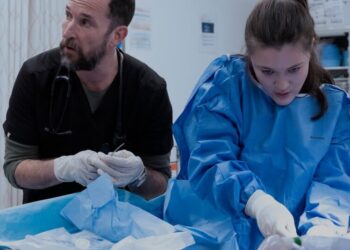 2026 Emmy Nominations: ‘The Pitt’ and ‘Hacks’ Lead the Pack