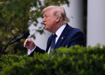 Trump Says He’ll Ask Supreme Court to Rehear Citizenship Case, an Unlikely Event