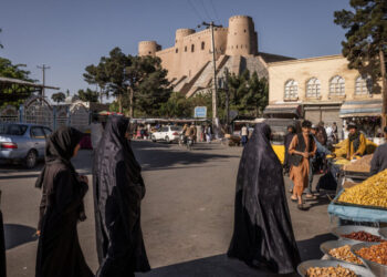 Inside Herat, Where a Taliban Campaign Targets a Cosmopolitan Outpost