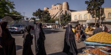 Inside Herat, Where a Taliban Campaign Targets a Cosmopolitan Outpost