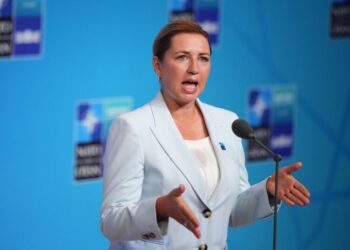 Denmark Says It Will Defend ‘Every Inch’ of NATO as Trump Eyes Greenland Again