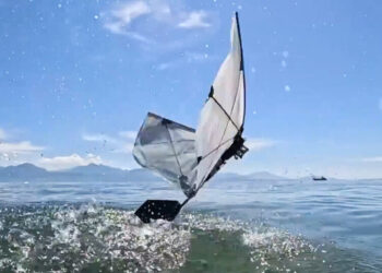 New Winged Robot Can Fly and Swim Like a Puffin