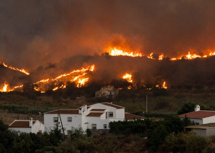 A Wildfire Killed 12 People in Southern Spain. Here’s the Latest.