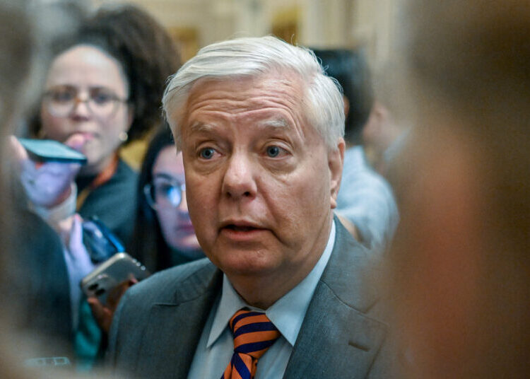 Lindsey Graham Was Facing Re-election in November. What Happens Now?