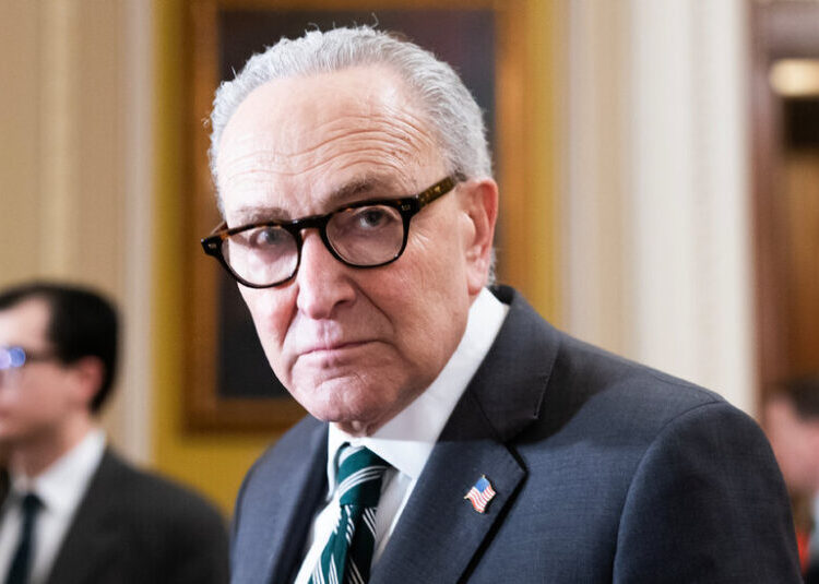 Maine Democrats to Chuck Schumer: Stay Out of Our Senate Race