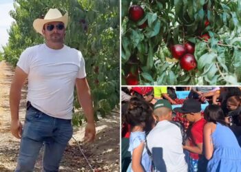 Embattled California fruit farmer gives away more than 125,000 pounds of nectarines