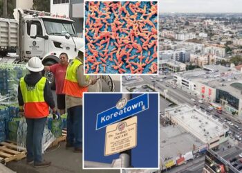 Urgent warning as outbreak of deadly disease hits water system of crowded LA neighborhood