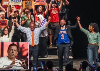 Billionaire Peter Thiel stuns liberal crowd, warns democratic socialists will take over their party