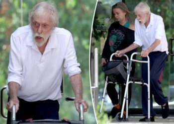 Dick Van Dyke, 100, uses walker during rare outing with wife Arlene, 54