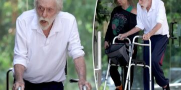 Dick Van Dyke, 100, uses walker during rare outing with wife Arlene, 54