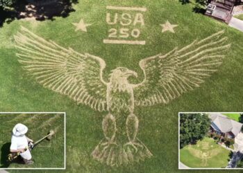 Alabama homeowner creates most patriotic front lawn celebrating America 250 with bald eagle mural