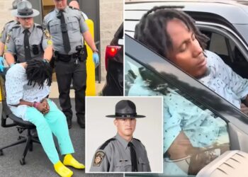 Pennsylvania state trooper Michael Pahira killed by Haitian illegal immigrant truck driver in crash: report