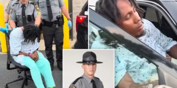Pennsylvania state trooper Michael Pahira killed by Haitian illegal immigrant truck driver in crash: report