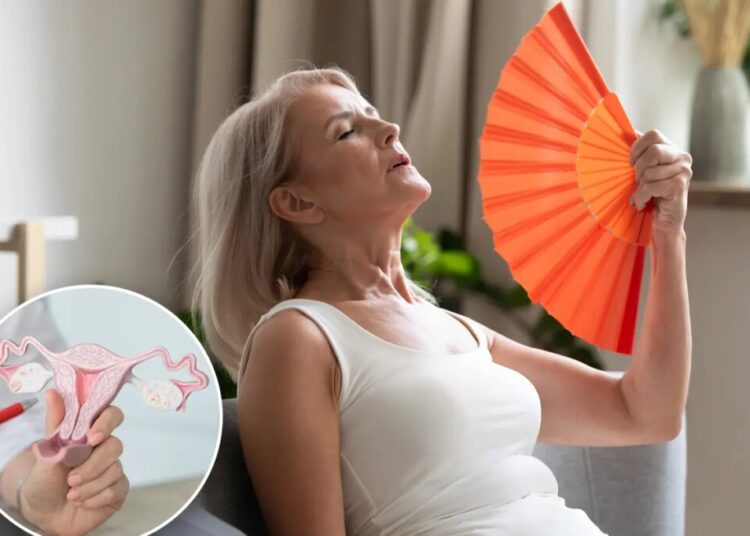 Scientists discover an infuriating thing ovaries may start doing after menopause: study
