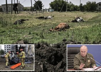 Russia accused of dumping anthrax-infected cattle carcasses in Ukraine: ‘ Biological terrorism’