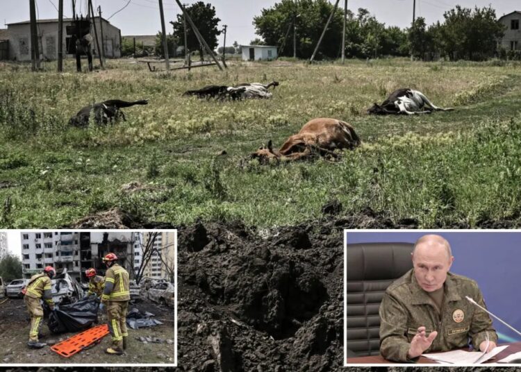 Russia accused of dumping anthrax-infected cattle carcasses in Ukraine: ‘ Biological terrorism’