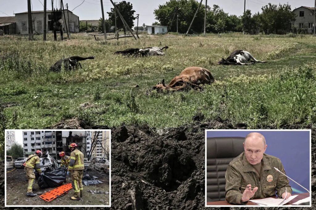 Russia accused of dumping anthrax-infected cattle carcasses in Ukraine: ‘ Biological terrorism’