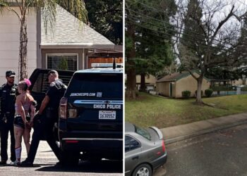Burglar suspect seen in bizarre arrest picture — after making hilariously dumb escape error
