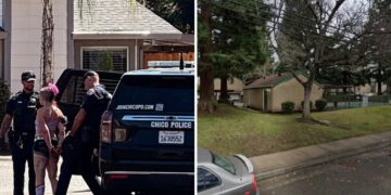 Burglar suspect seen in bizarre arrest picture — after making hilariously dumb escape error