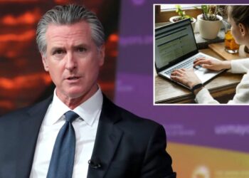 Gavin Newsom’s return to office mandate mystery as multiple remote and hybrid roles emerge