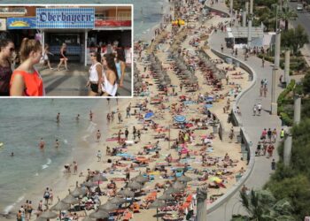 Brazen pickpockets prey on vulnerable tourists as millions swarm European summer hotspot