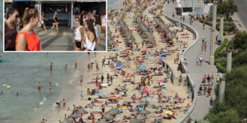 Brazen pickpockets prey on vulnerable tourists as millions swarm European summer hotspot