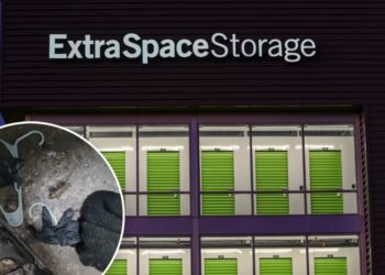 Storage giant forced to pay back NYC renters after sky-high price hikes and rats run wild