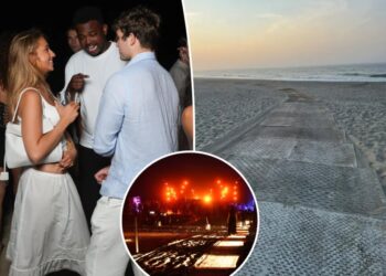 Fears for delicate wildlife after A-list bash rages at Hamptons beach