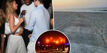 Fears for delicate wildlife after A-list bash rages at Hamptons beach