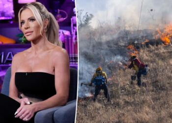 ‘Real Housewives’ star reveals son is facing ‘consequences’ for his involvement in starting a wildfire