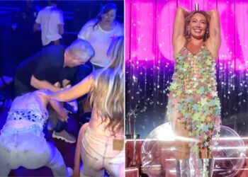 Wild hair-pulling brawl breaks out at Hilary Duff concert in LA