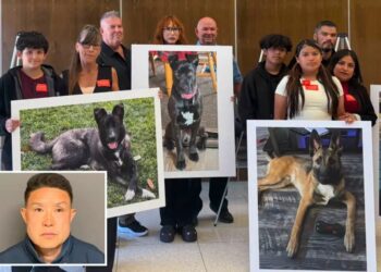 SoCal Dog trainer learns fate for trapping and  killing 11 dogs