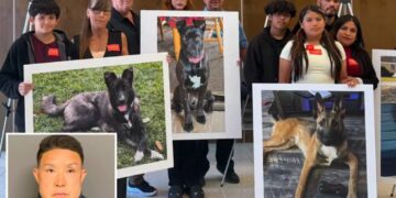SoCal Dog trainer learns fate for trapping and  killing 11 dogs