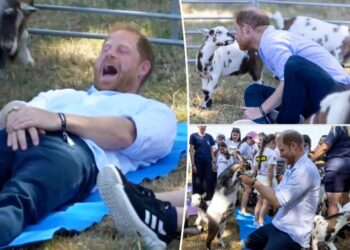 Prince Harry’s crown jewels kicked by clumsy goat during trendy yoga session