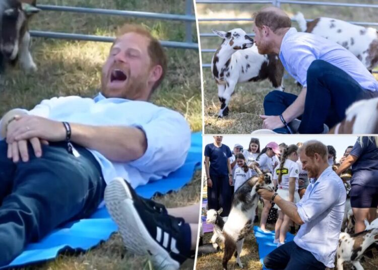 Prince Harry’s crown jewels kicked by clumsy goat during trendy yoga session