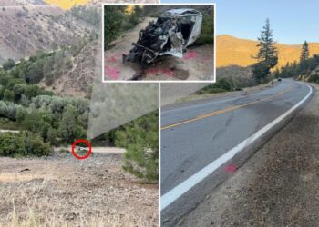Driver somehow escapes death after plunging 600ft off cliff — but ends up in cuffs anyway