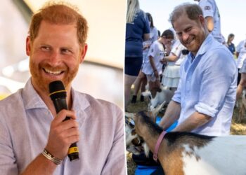 Prince Harry reveals his multiple occupations in candid new interview