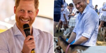 Prince Harry reveals his multiple occupations in candid new interview