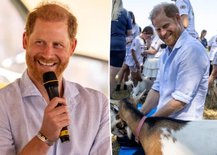 Prince Harry reveals his multiple occupations in candid new interview