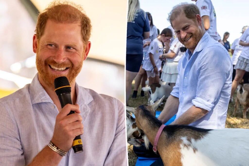 Prince Harry reveals his multiple occupations in candid new interview